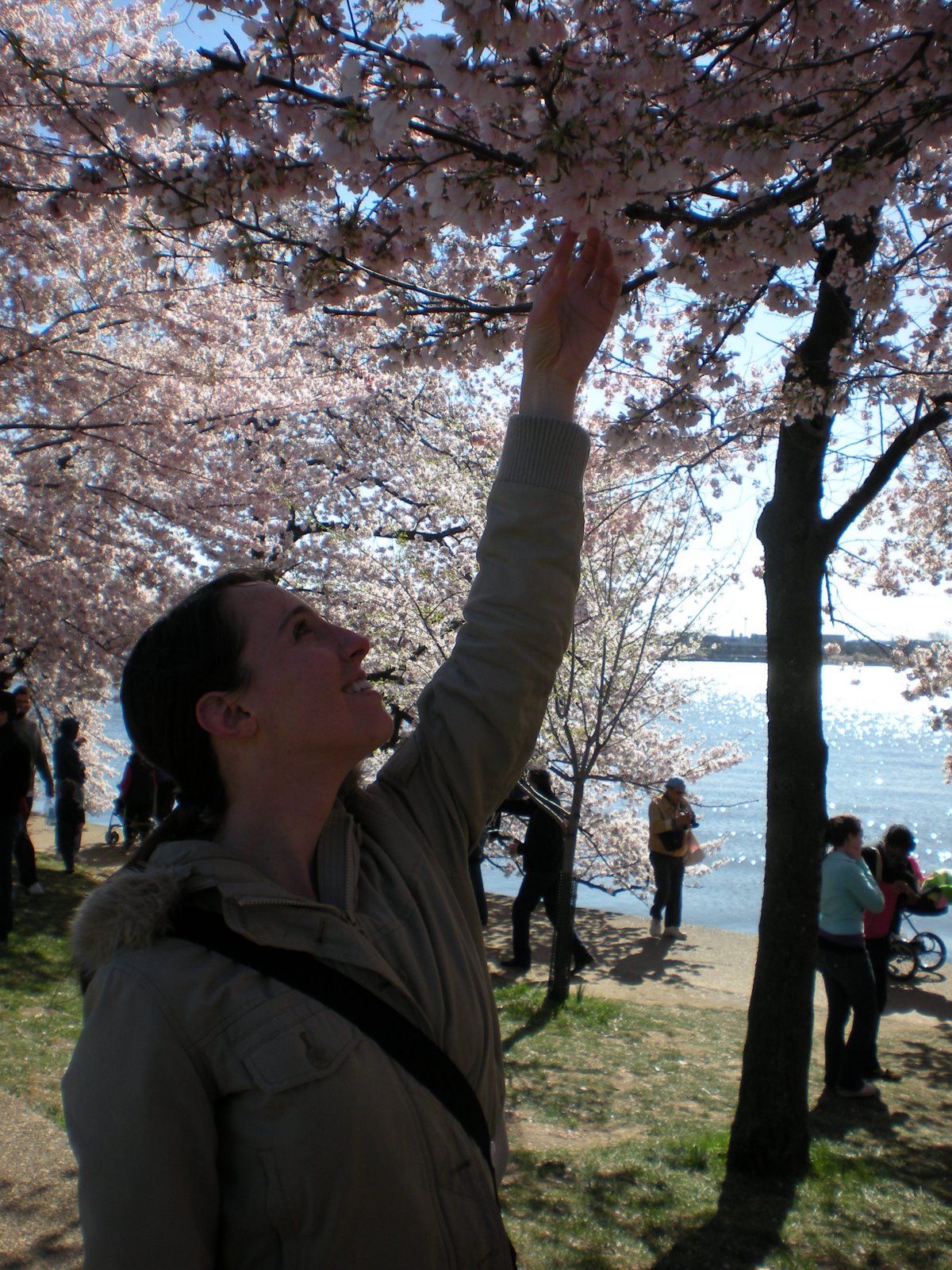 [DSCN0601.JPG]
