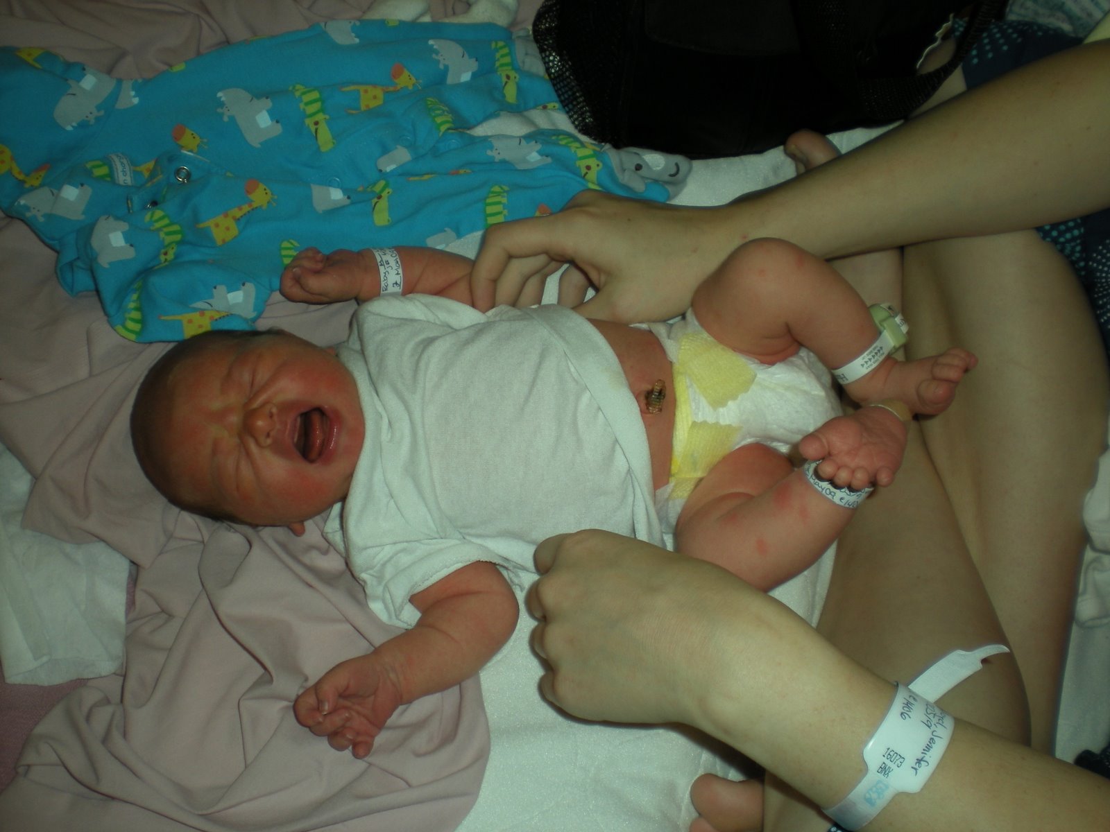 [DSCN0625.JPG]