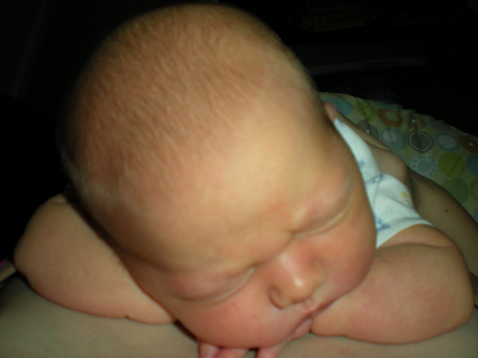 [DSCN0626.JPG]