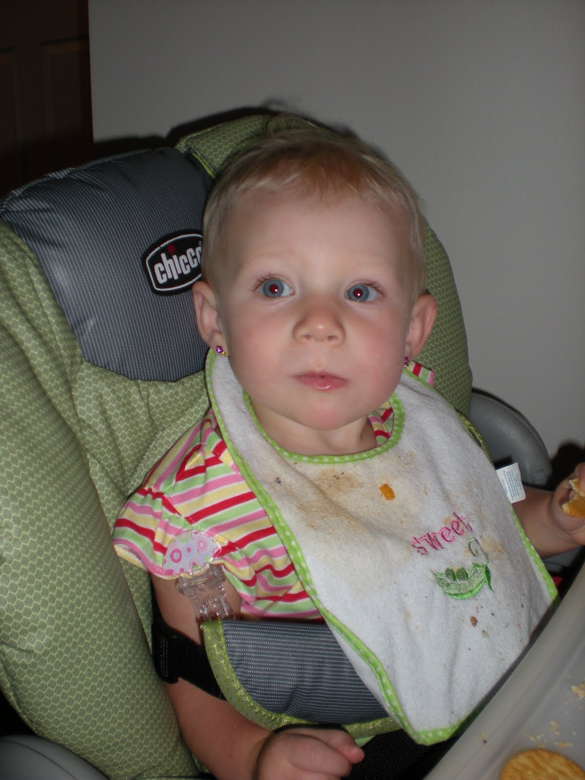 [DSCN1490.JPG]