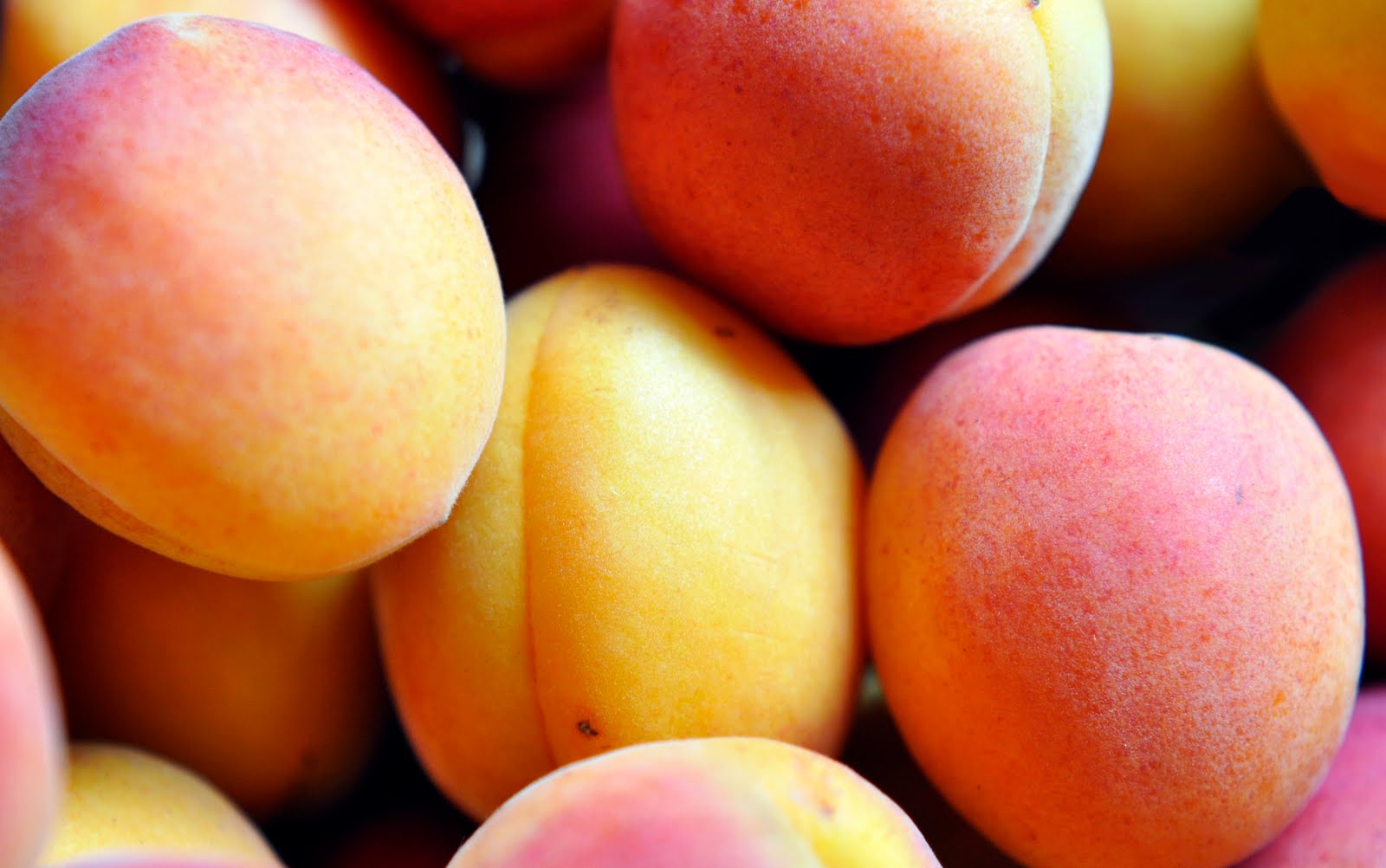 Apple Apricot