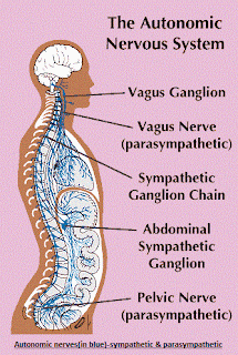 The Human Body: February 2010