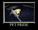 PET PRIDE