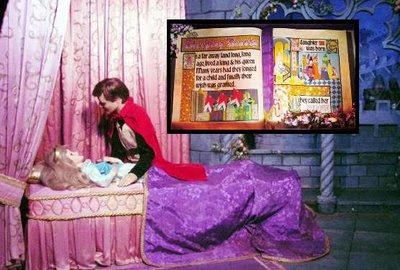 disneyland castle walkthrough