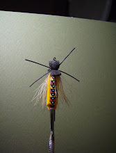 Air-filled Stonefly