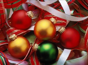 [boplas+natal.jpg]