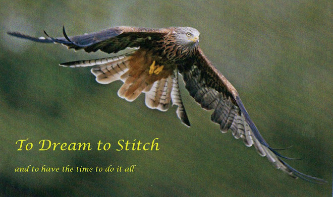 To dream to stitch