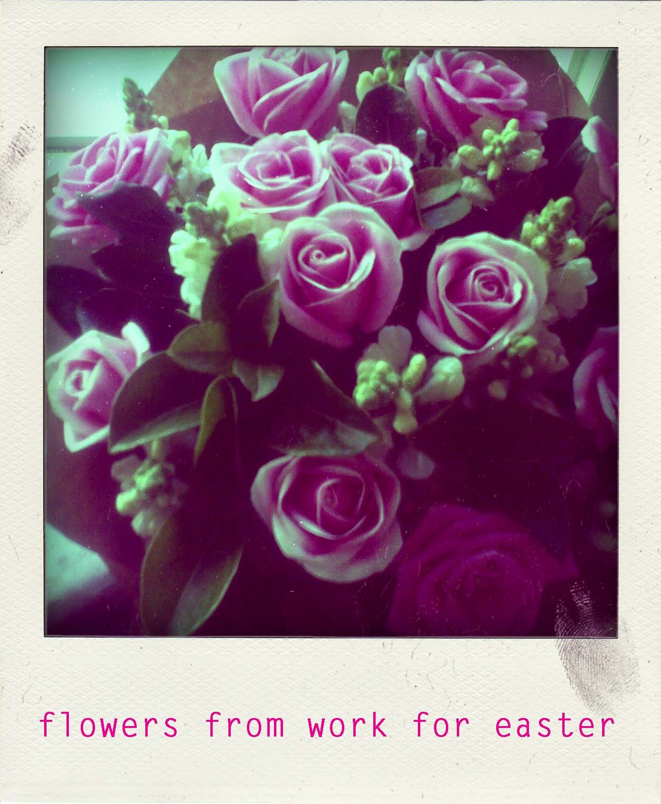 [flowers.jpg]