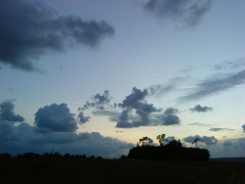 [image-upload-107-705831.jpg]