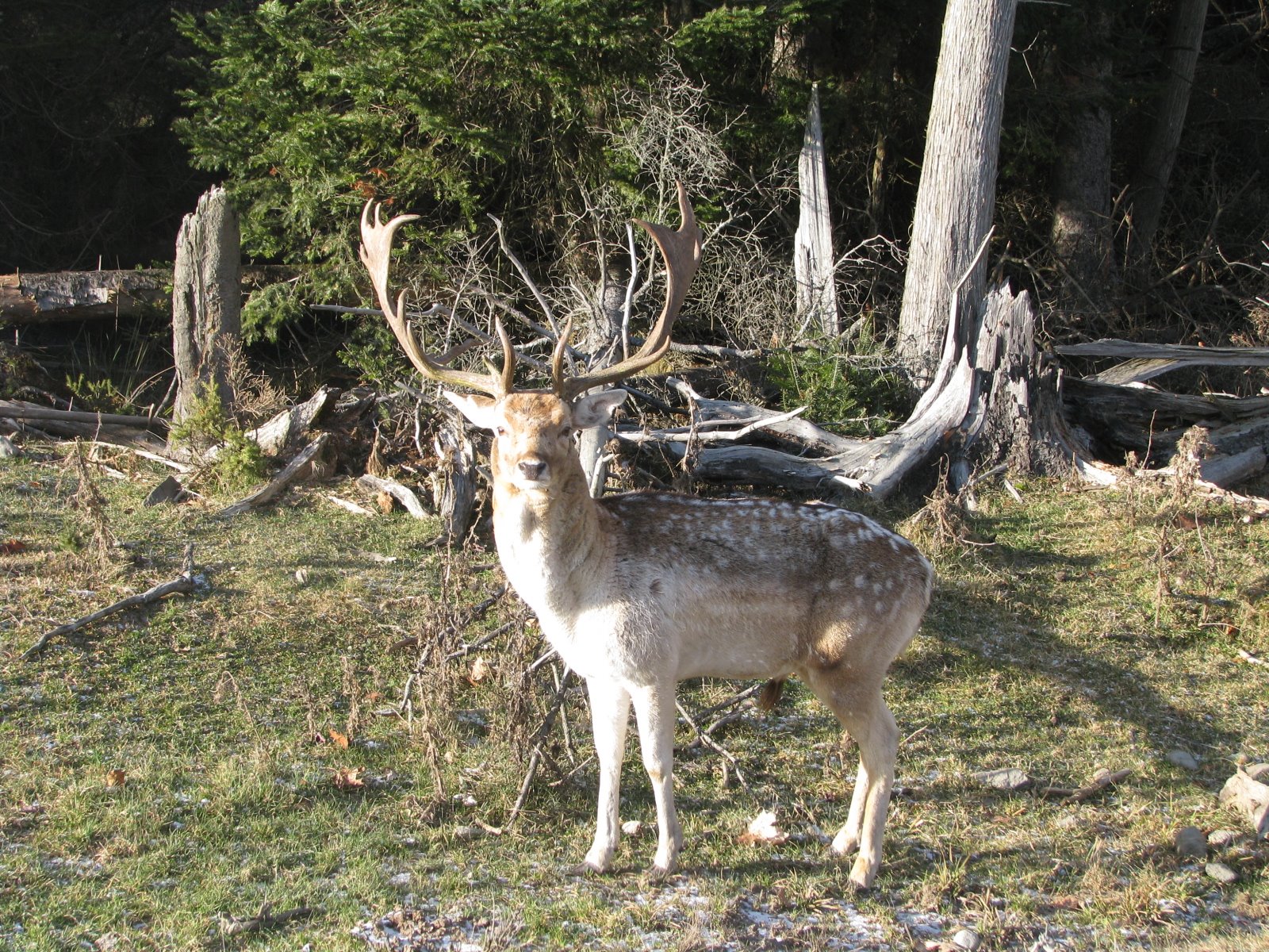 [IMG_1380.JPG]