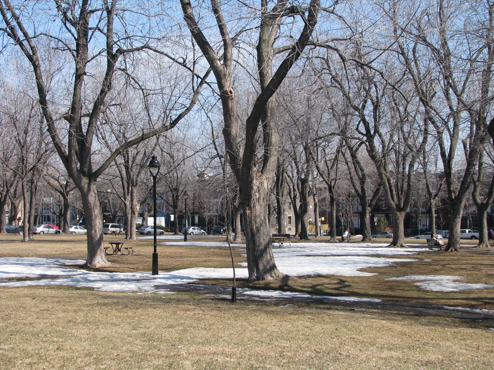[IMG_4828.JPG]
