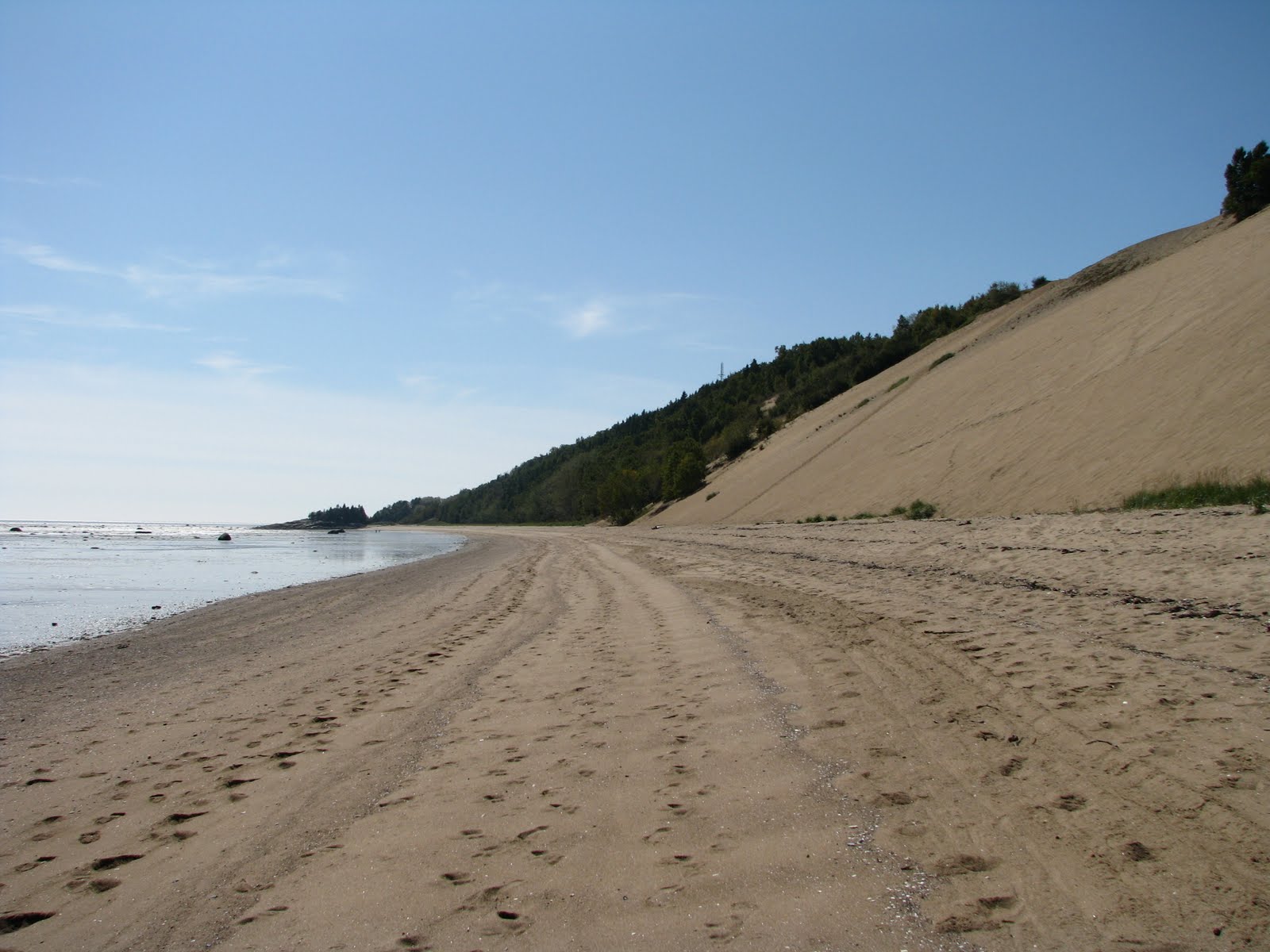 [IMG_7765.JPG]