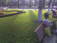 park, vietnam, saigon, ho chi minh city, peaceful, wild wild east dailies, david everitt-carlson, news, opinion