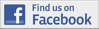 Facebook, Wild Wild East, wild wild east dailies, David Everitt-Carlson,