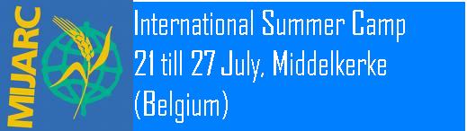 International Summer Camp