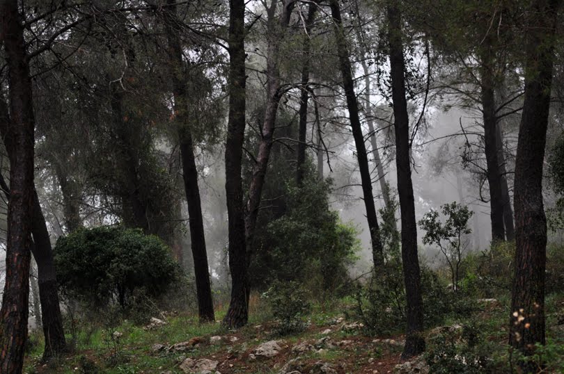 [DSC_0220.jpg99.jpg]