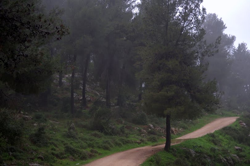 [DSC_0213.jpg99.jpg]