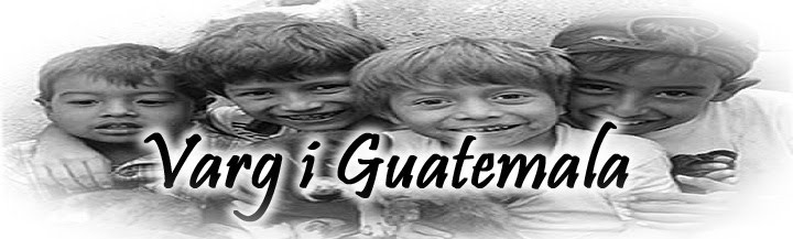 Varg i guatemala