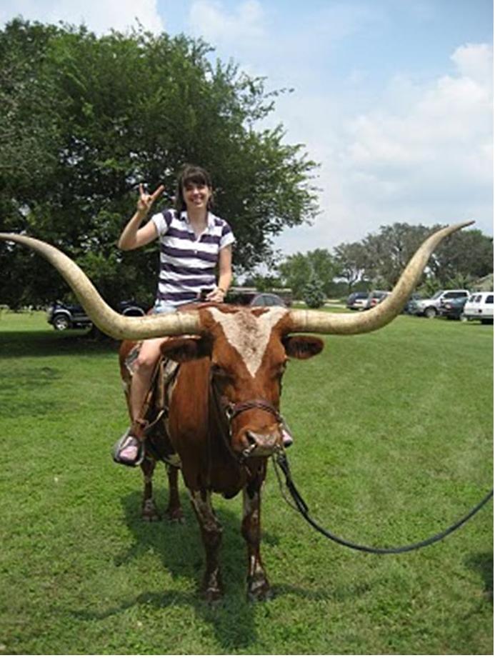 [cow.JPG]
