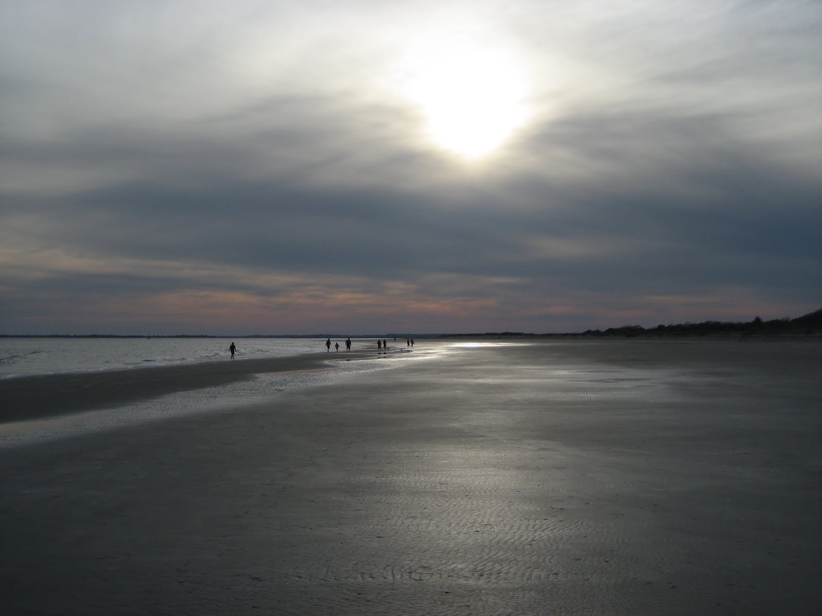 [IMG_6386.JPG]