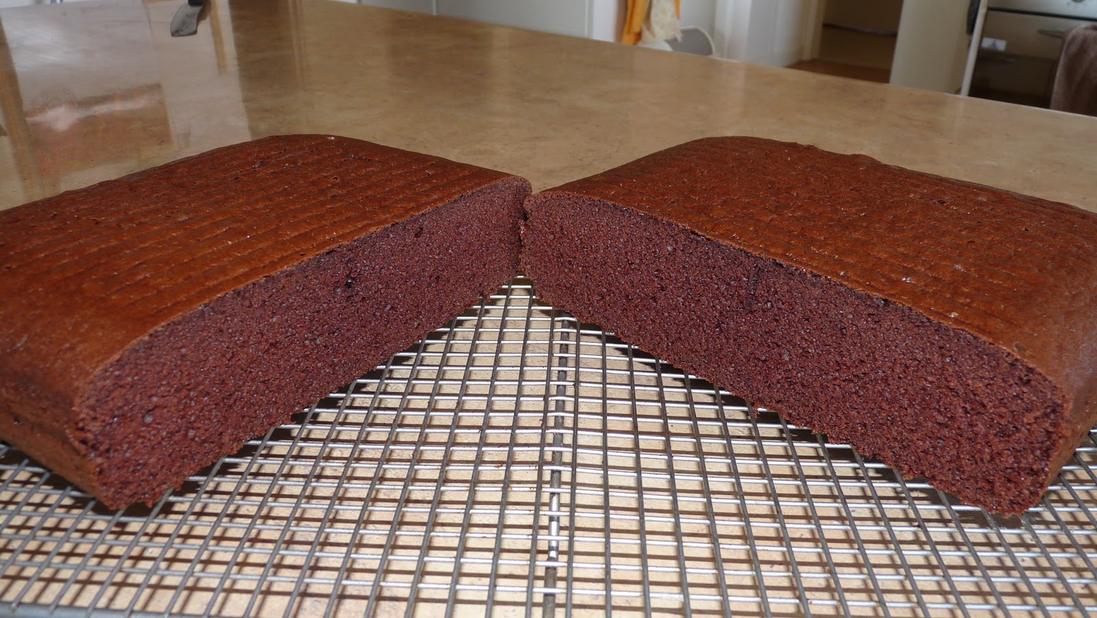 The Bush Gourmand Delicious Thermomix Chocolate Cake