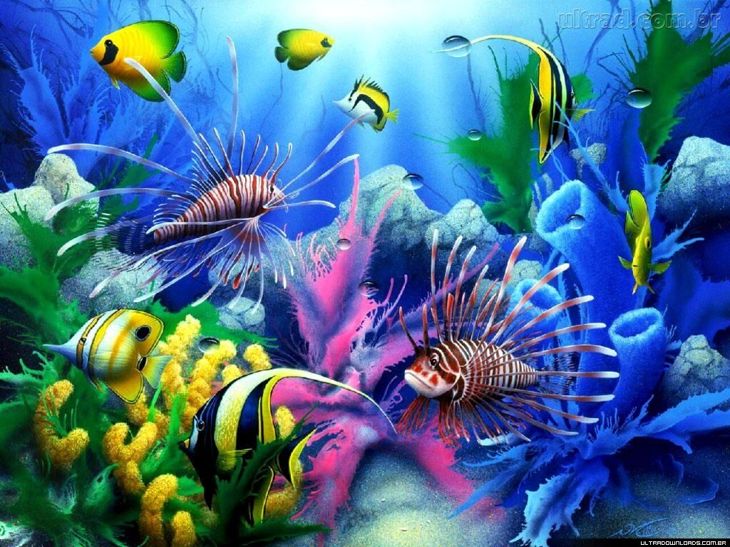http://4.bp.blogspot.com/_Y5VHIIGTJ1c/S_FsNasvcqI/AAAAAAAAK4E/XoMl6RsRv5E/s1600/46854_Papel-de-Parede-Fundo-do-Mar_1024x768-777363.jpg