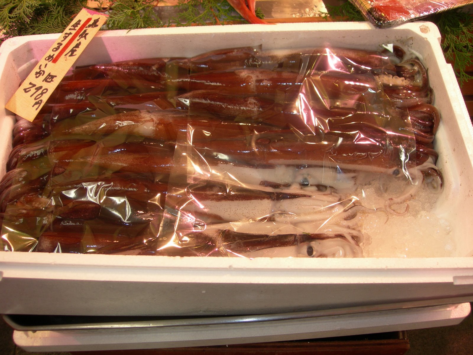 [DSCN0951.JPG]
