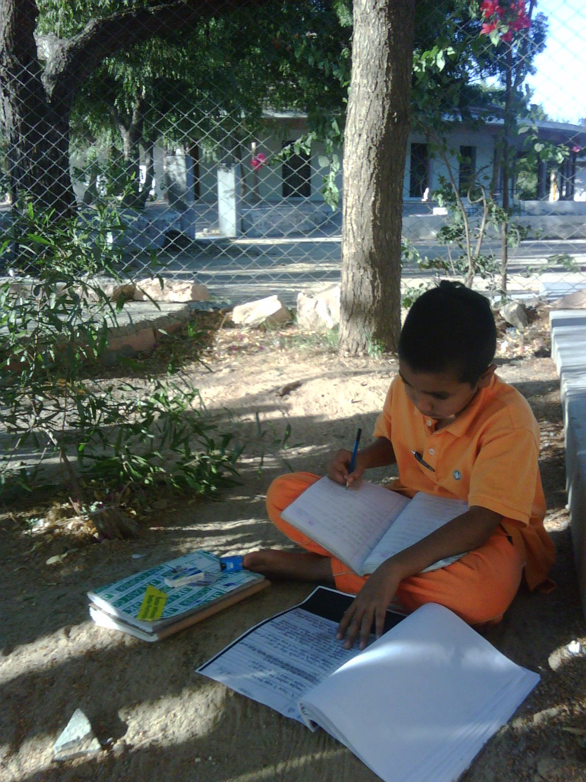 [naturally+learning.jpg]