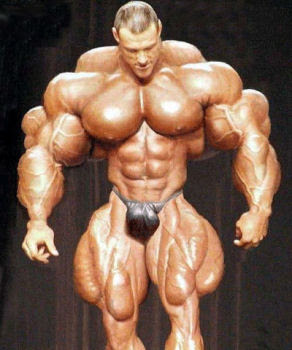 Dog On Roids