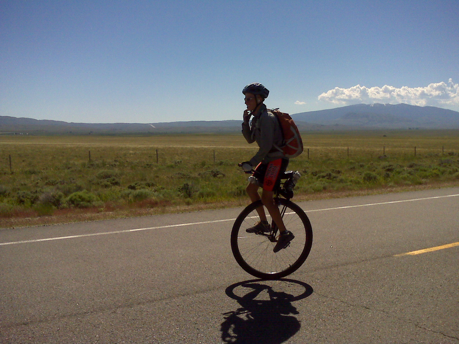 Bears Riding Unicycles