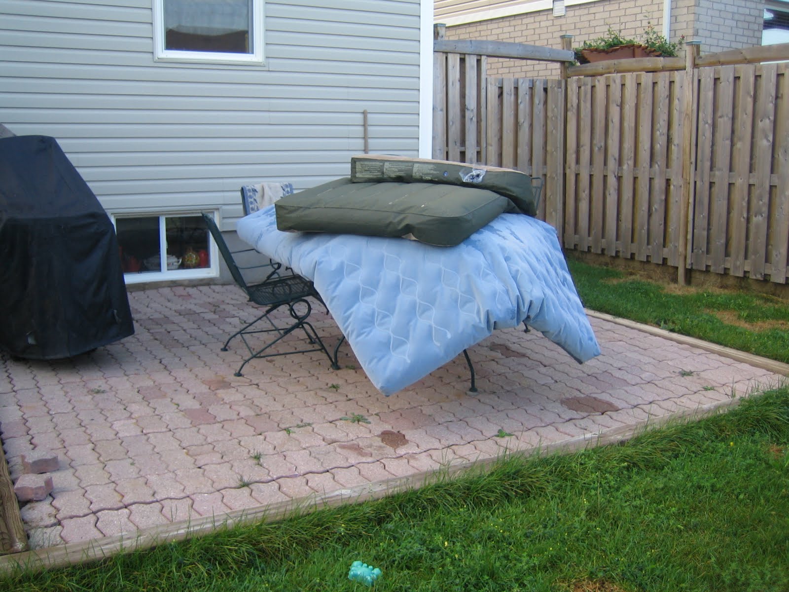 [IMG_3446[1]]