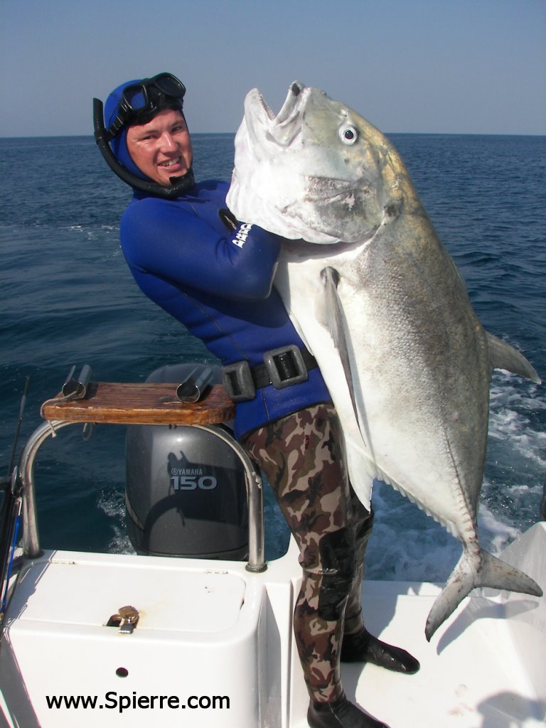 [GT43kg+copy.jpg]
