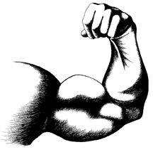 http://4.bp.blogspot.com/_Y6aY1QTcr84/SbZkt9SI1ZI/AAAAAAAACOg/DLJVbjVSoDE/s320/bicep.gif