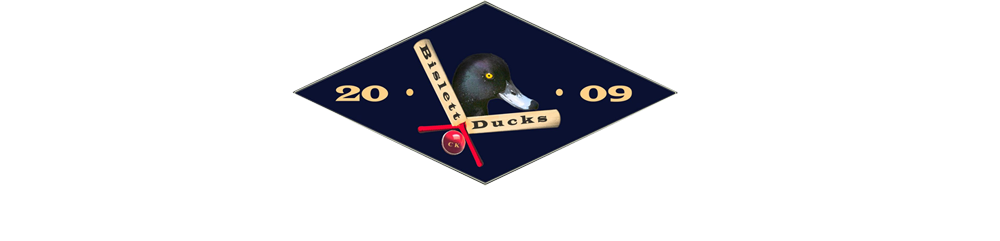 Bislett Ducks Cricketklubb