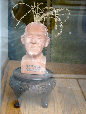 Barack Obama Chia