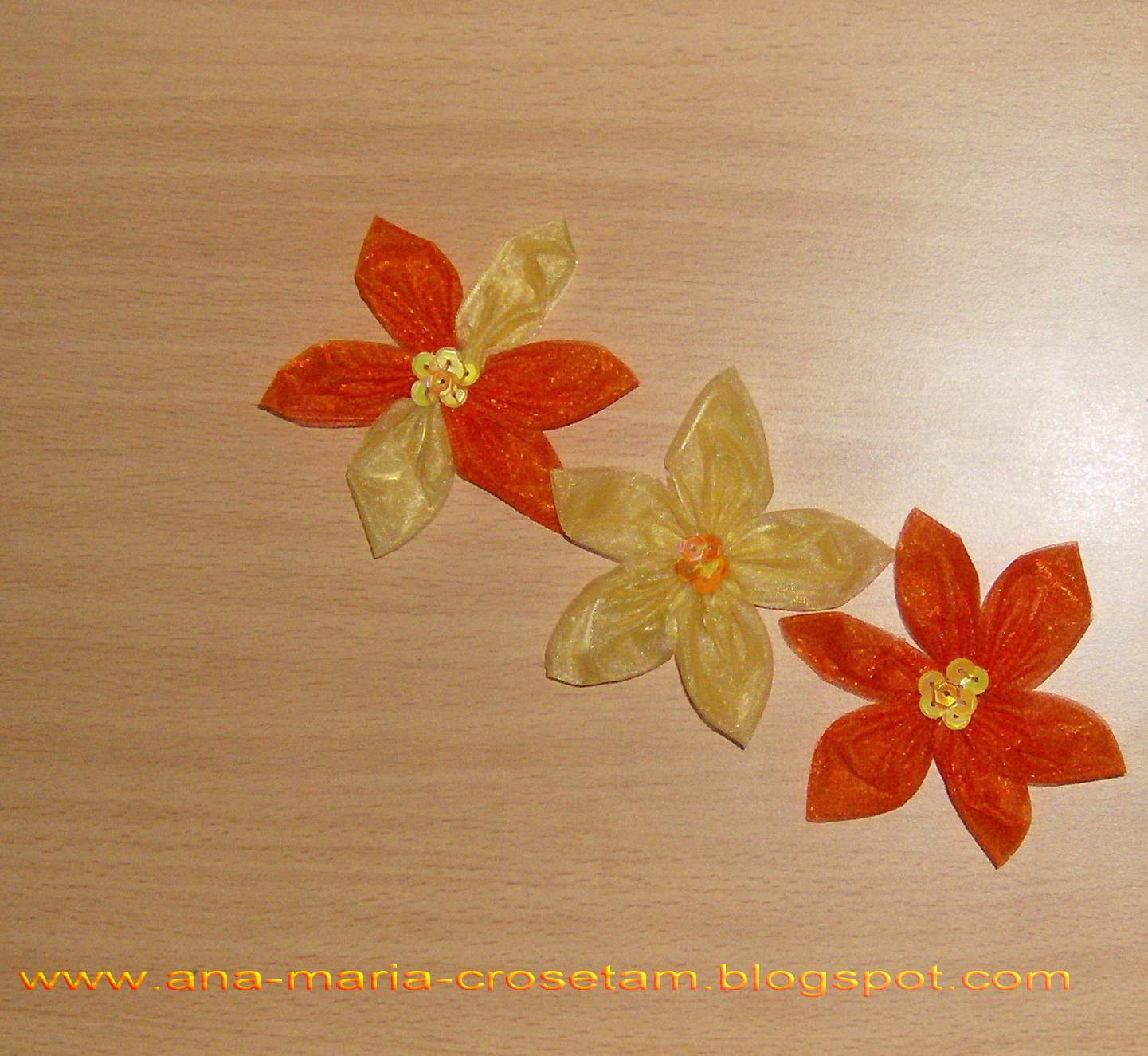 [floricele_accesoriu+002.jpg]