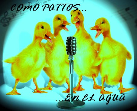 COMO PATTOS EN EL AGUA