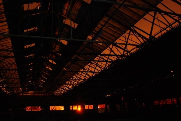 [British+Extracting.jpg]