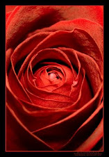 RedrosE