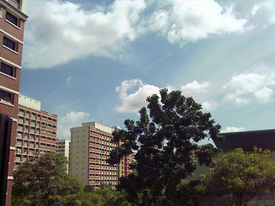 Sunny & Windy Sunday