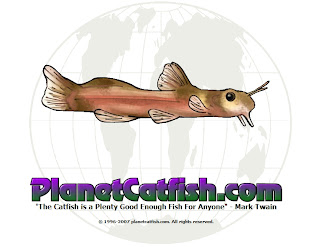 PlanetCatfish.Com
