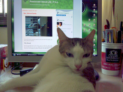 Wednesday With Buddy's Blog In Background