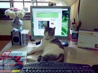Wednesday Obstructing Blogging Process