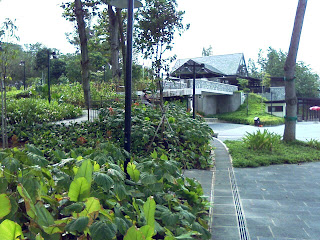 Changi Beach Park Ferry Terminal
