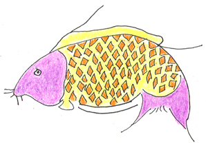 [fish.jpg]