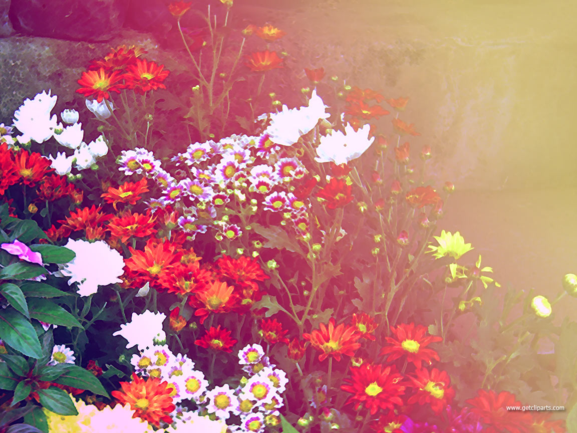 Free Desktop Wallpaper: Free Desktop Wallpaper Flowers