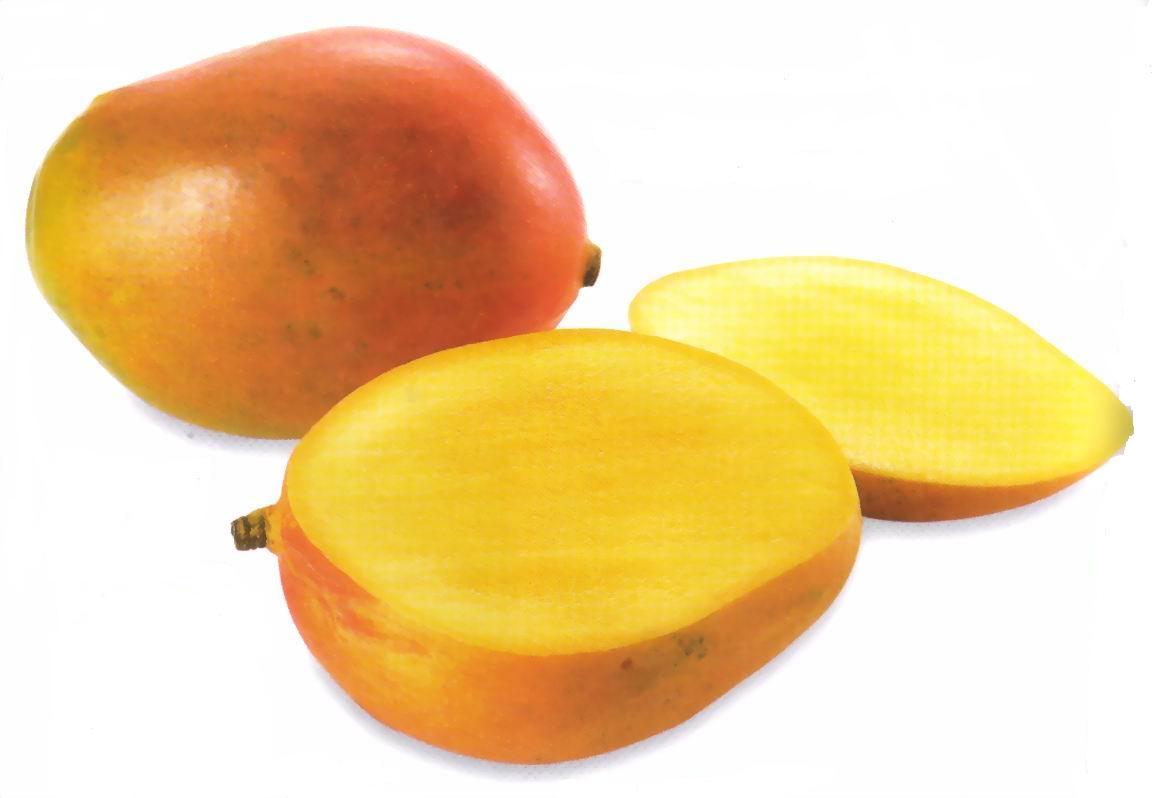 [Mango+1.JPG]