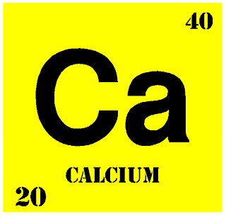 calcium.gif (617×589)