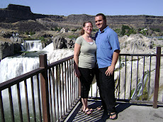 Us at Shoshone falls