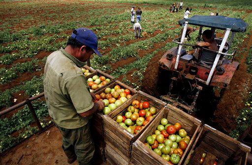Agricultura en La Actualidad: Agricultura en La Actualidad: